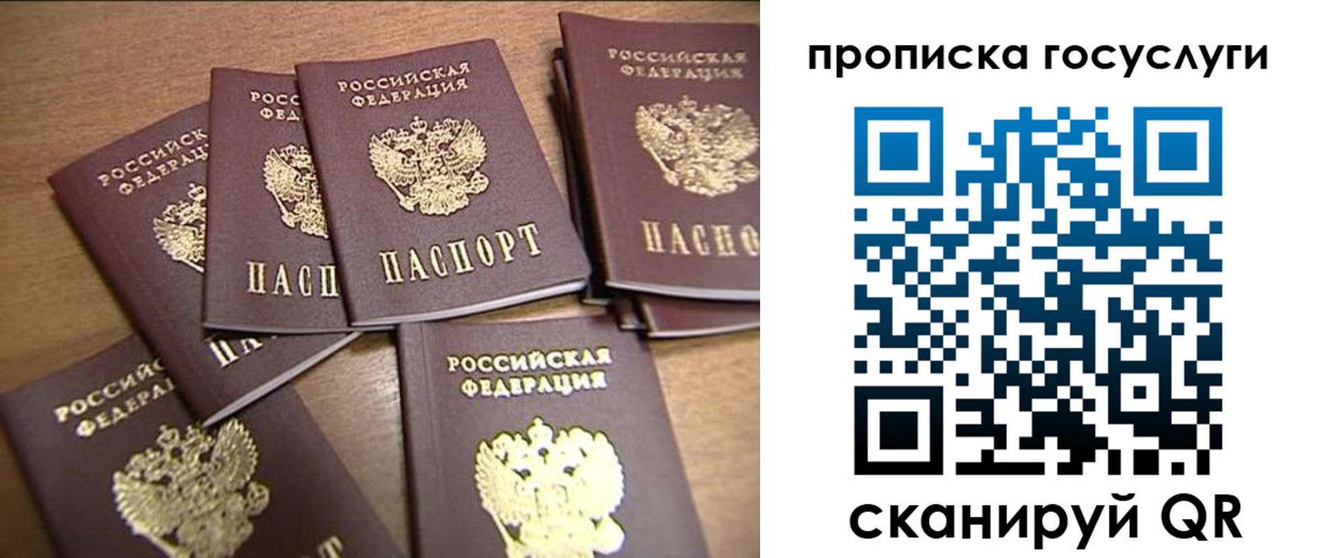 прописка ребенка в Севастополе